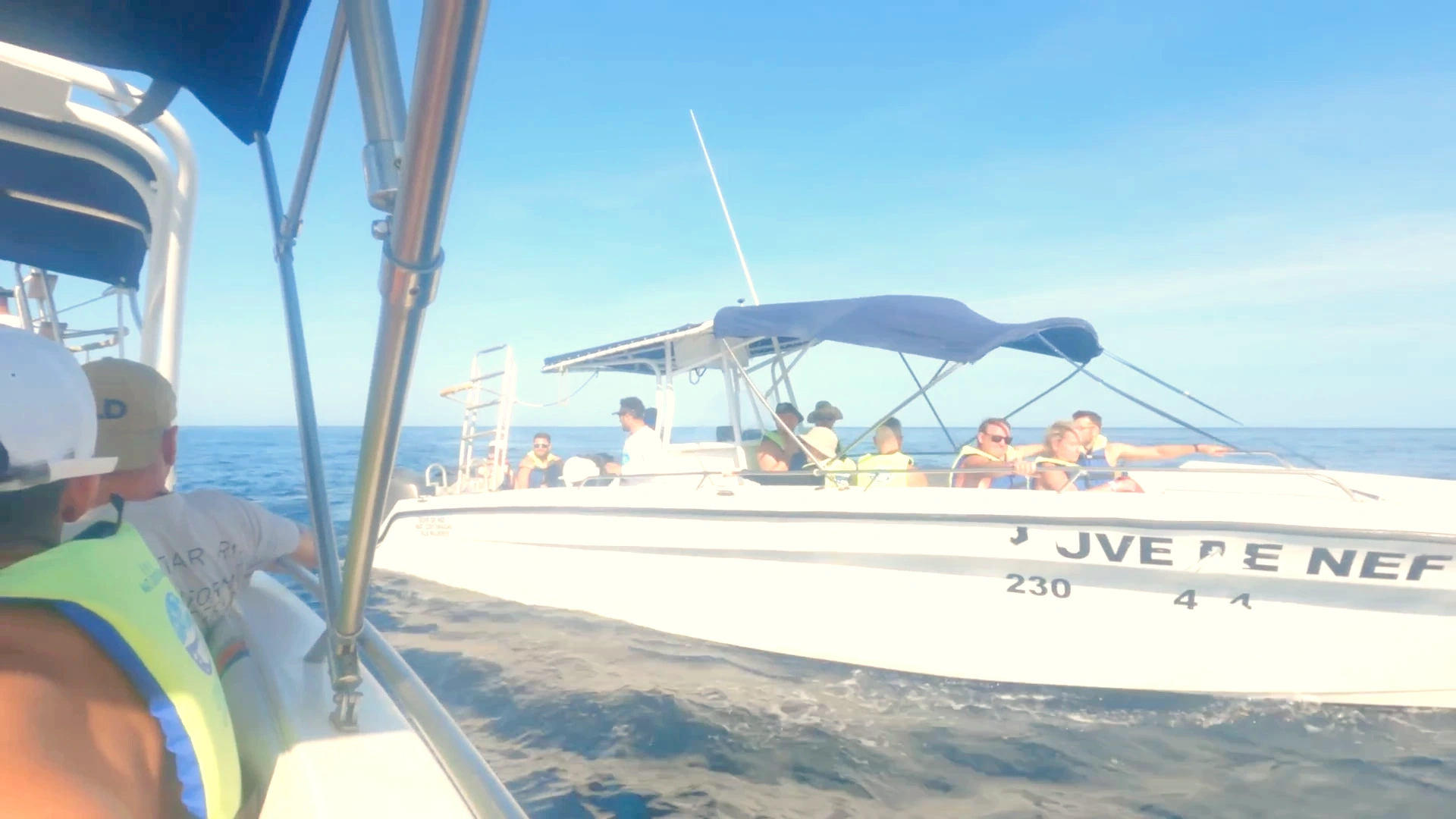 Whale Shark Expedition: Gulf of Mexico Marine Encounter