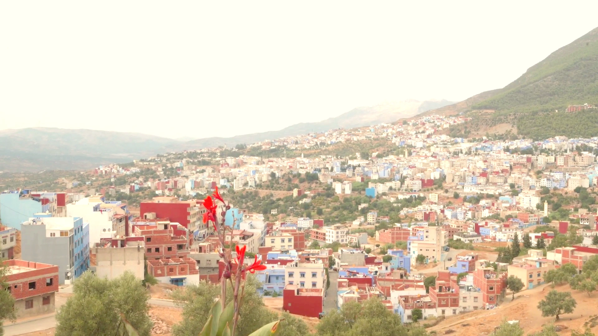 Chefchaouen Cityscape Overview: Rif Mountain Slopes